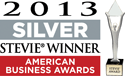 2013 silver stevie winner